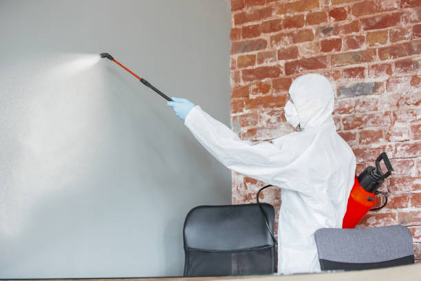 Reliable Bigfork, MT Mold Removal Solutions