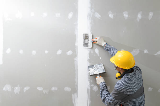 Mold Remediation for Vacation Homes in Bigfork, MT
